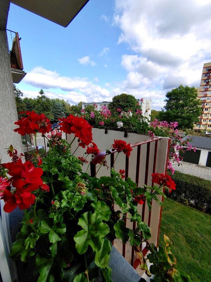 Loft House Sopot Apartament Appartement Buitenkant foto